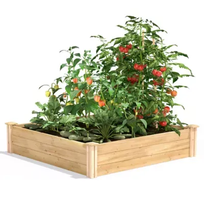 Greenes Fence Original Cedar Raised Garden Bed, 4' x 4' x 10.5" - Made in USA with North American CedarGreenes Fence Original Cedar Raised Garden Bed, 4' x 4' x…