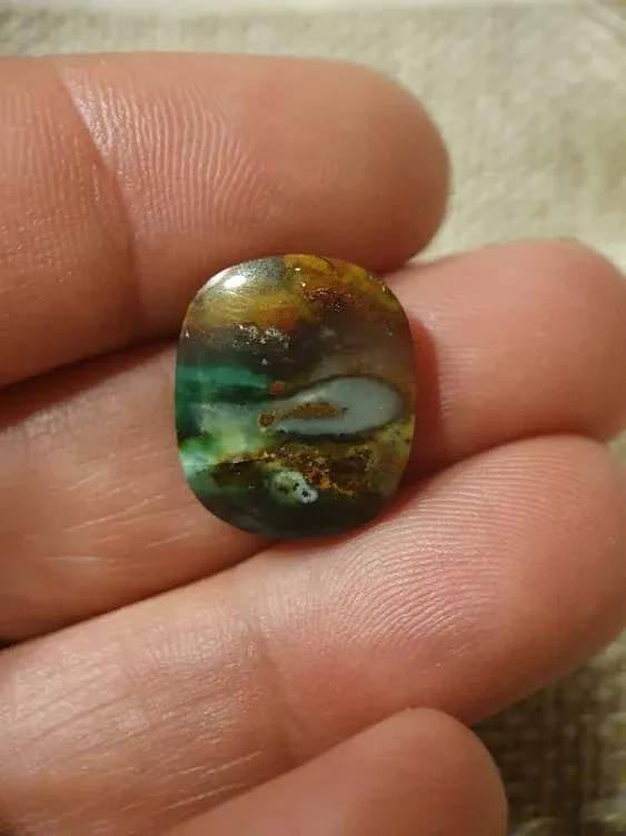 Opalized petrified wood gemstone