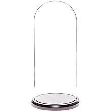 Plymor Brand 5.5" x 13" Glass Display Dome Cloche (Black Wood Base)