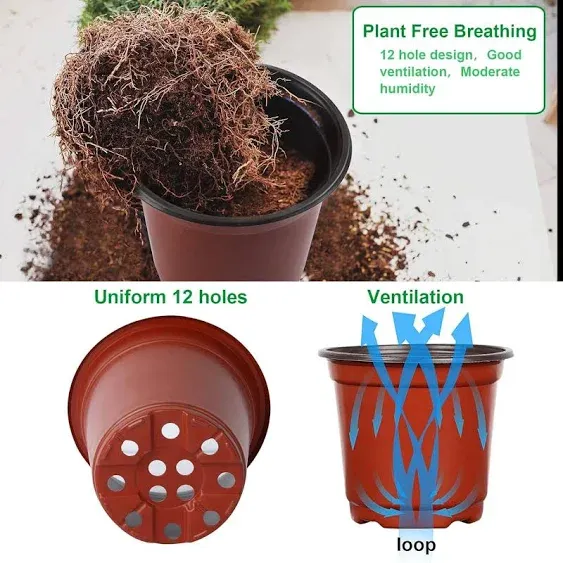 Augshy 110 Pcs 6" Plastic Plants Nursery Pot, Seed Starting Pots for Succulent Seedling Cutting Transplanting