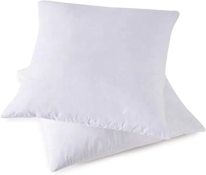 Throw Pillow Inserts, Set of 2 Down Feather Pillows Inserts Bed and Couch Pillows Cotton Cover, 22x22 Inches