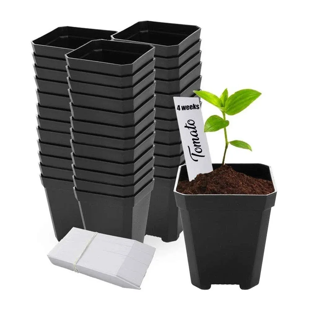 48 Pcs Plastic Nursery Pot for Plants 2.75 inch Square x 3.25 inch Seed Starting/Transplant Plant Containers for Tomatoes Basil Peppers Mint with 48