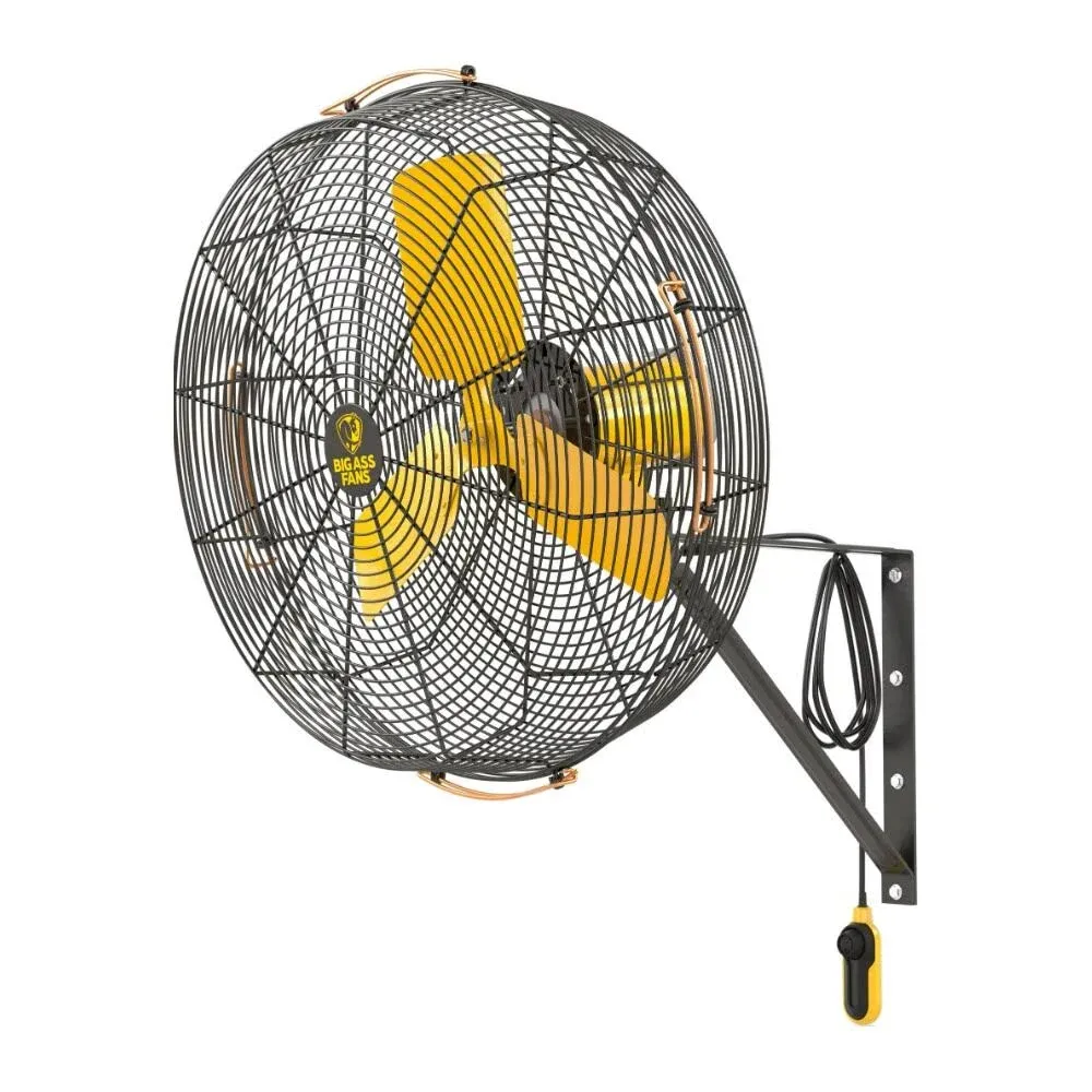 Big Ass Fans AirEye 24" Wall Mount Fan