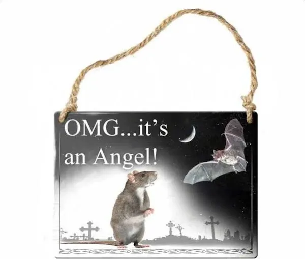 "OMG It's an Angel! Mini Sign Mouse and Bat Decoration by Alchemy Gothic"