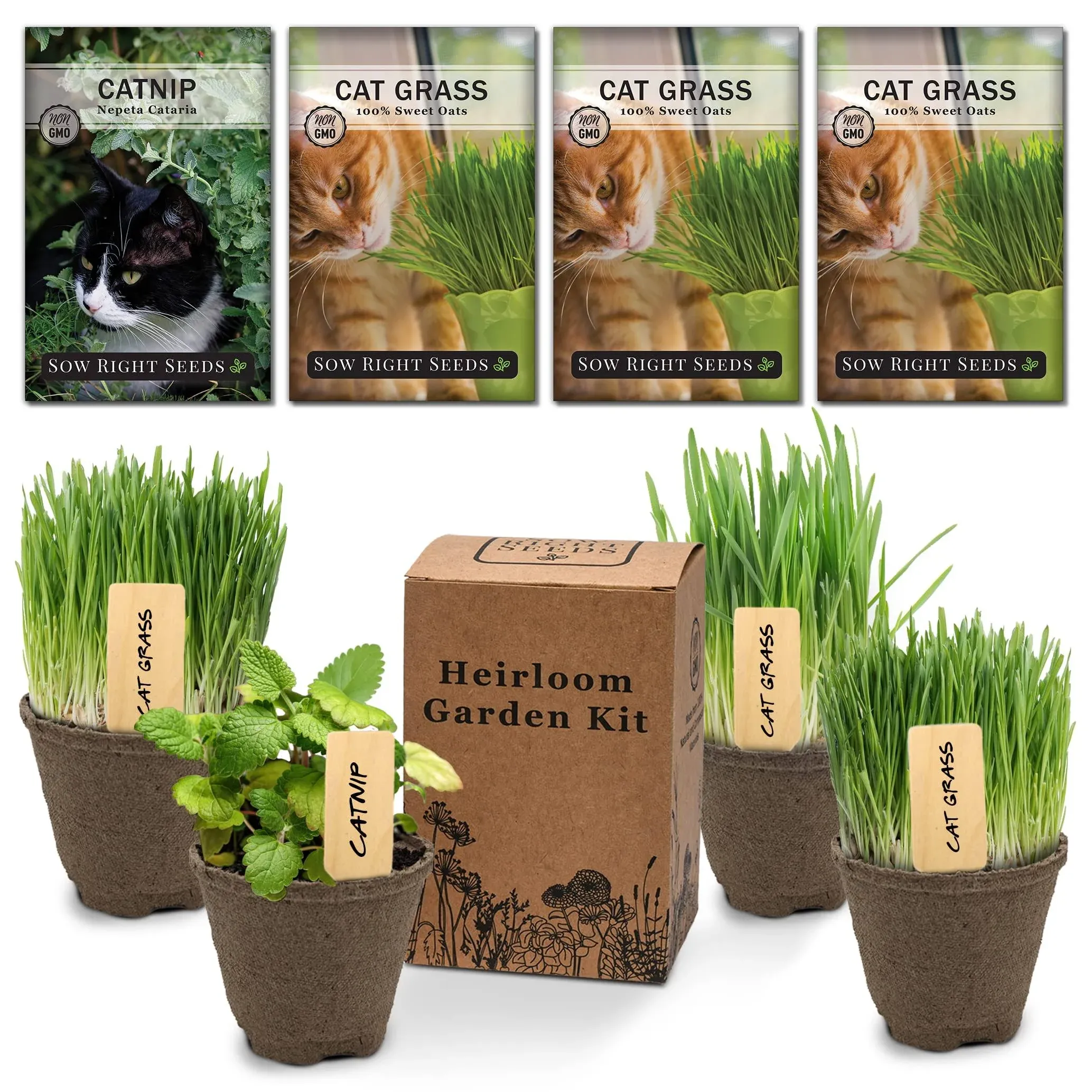 Sow Right Seeds - Heirloom Garden Kit for Cat Lovers - 4 Seed Packets with ...