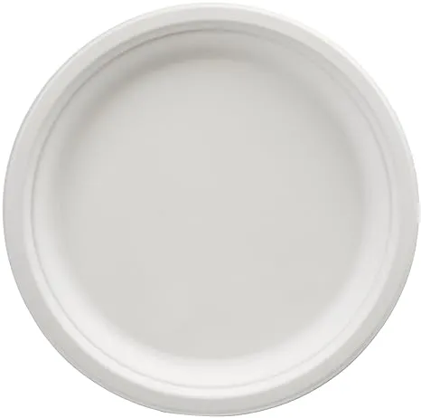 Amazon Basics Compostable Plates, 10-Inch, Pack of 500