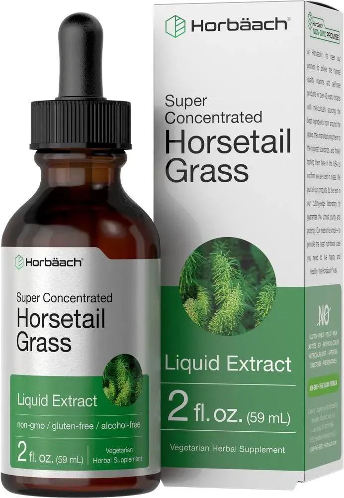 Horsetail Herb Liquid Extract | Alcohol Free | 2 fl oz | Vegetarian, Non-GMO ...