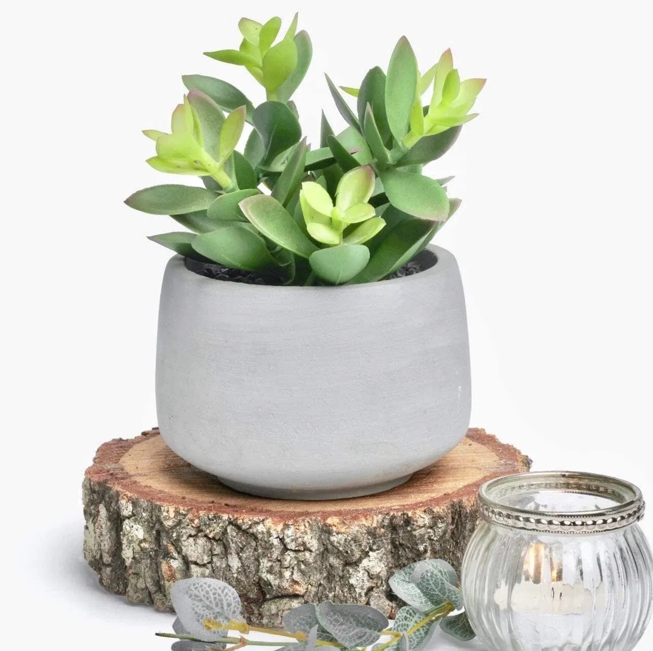 Kurrajong Farmhouse Faux Succulent in Pot - Faux Plants Decor - 7" x 4.5" - Feaux Plant in Pot - Fake Succulent Potted Plant for Home Decor Indoor