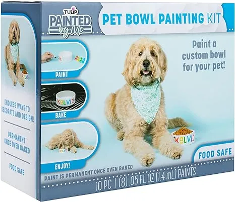 Tulip Paint & Bake Ceramic Pet Bowl Kit, Family Friendly Art & Craft Kit ...