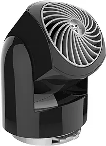 Vornado Flippi V6