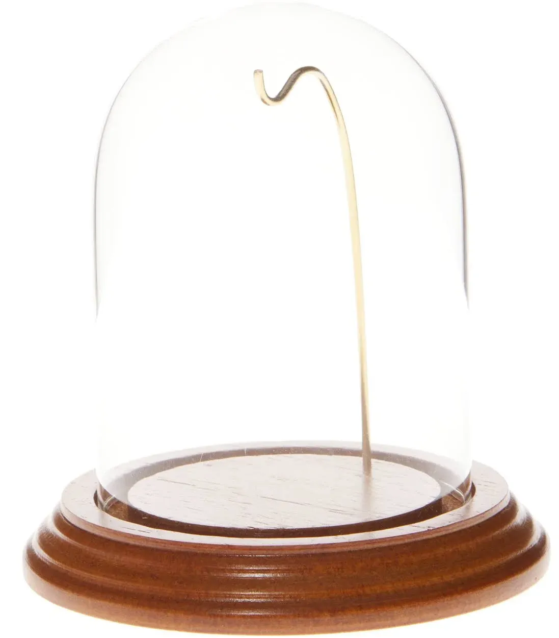 Plymor 3" x 4" Watch/Ornament Glass Display Dome Cloche (Oak Veneer Base & Gold wire)