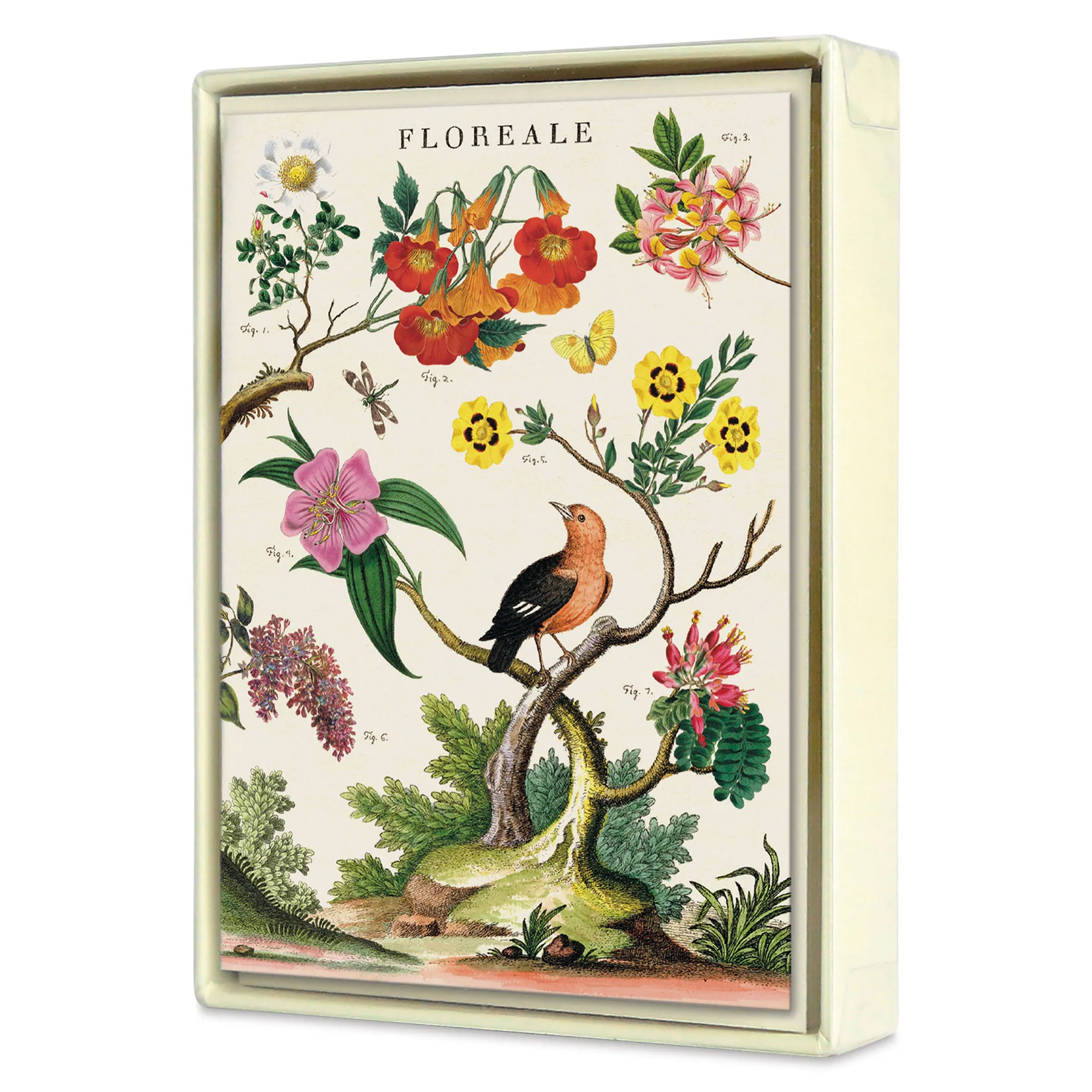 Cavallini Floreale Boxed Note Cards - Set of 8