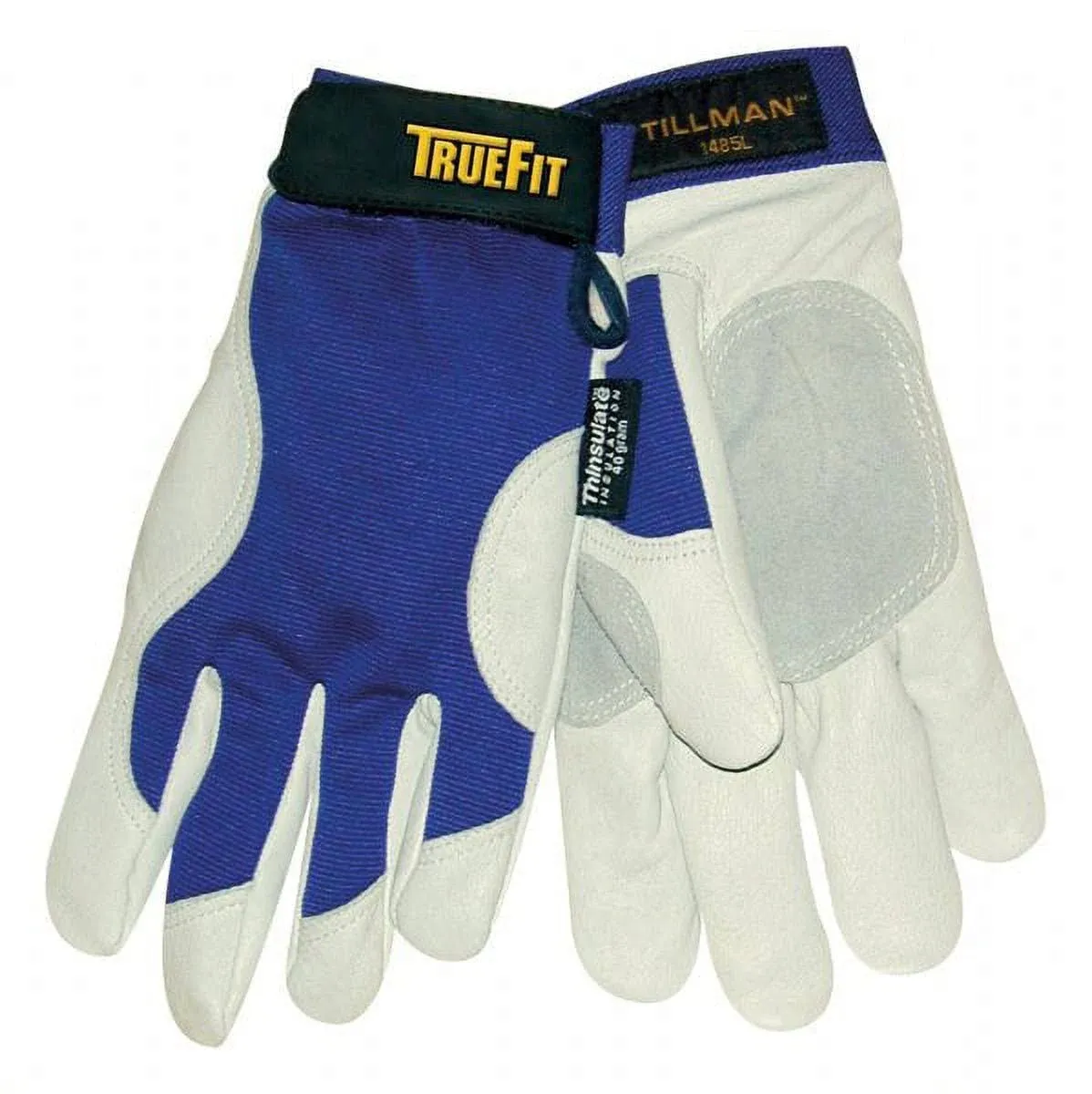 Leather Gloves, Blue, Double Layer