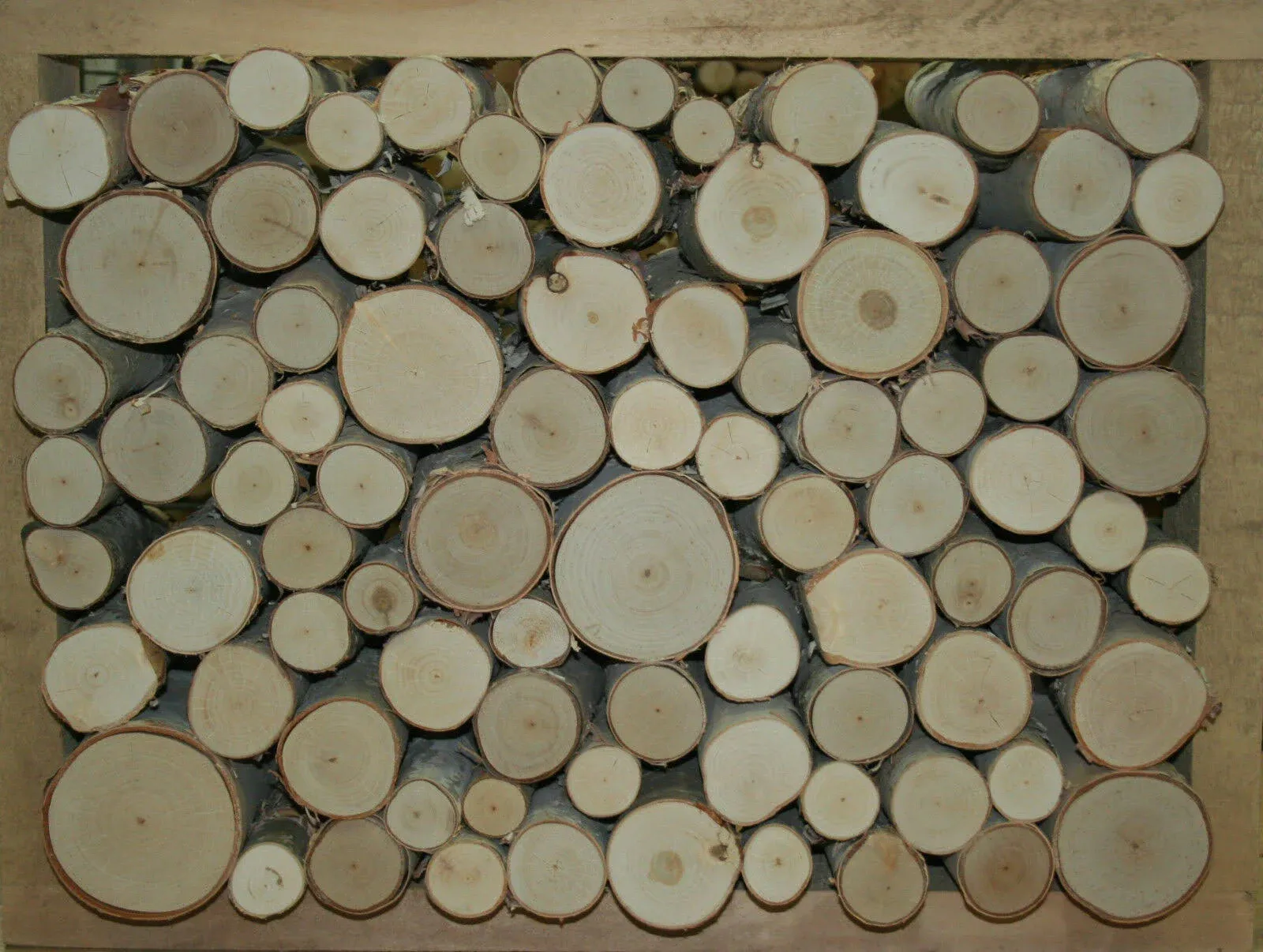 Wilson Enterprises White Birch Fill-A-Space Logs