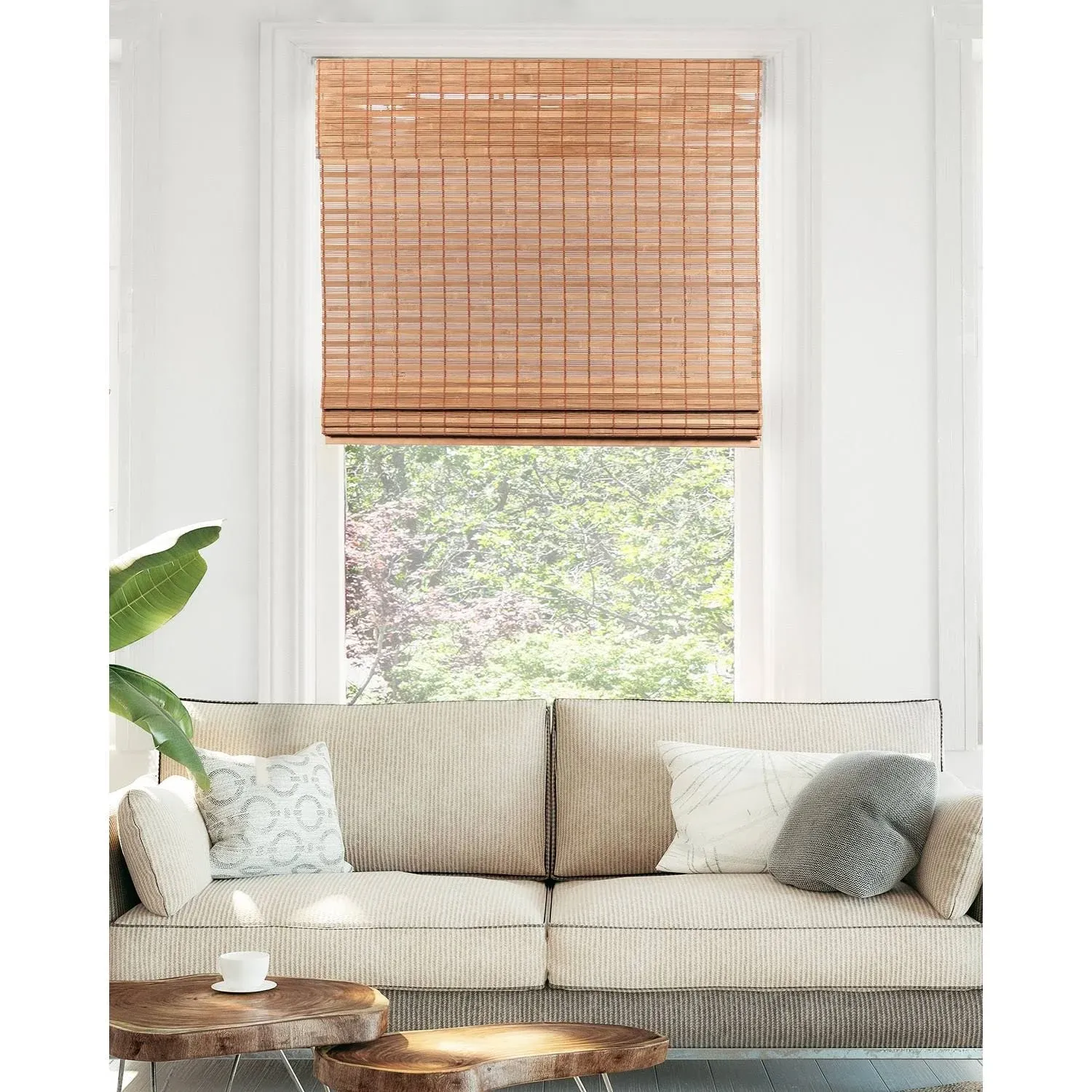 Chicology Cordless Bamboo Roman Shades, Size: 34 inch x 64 inch, Brown