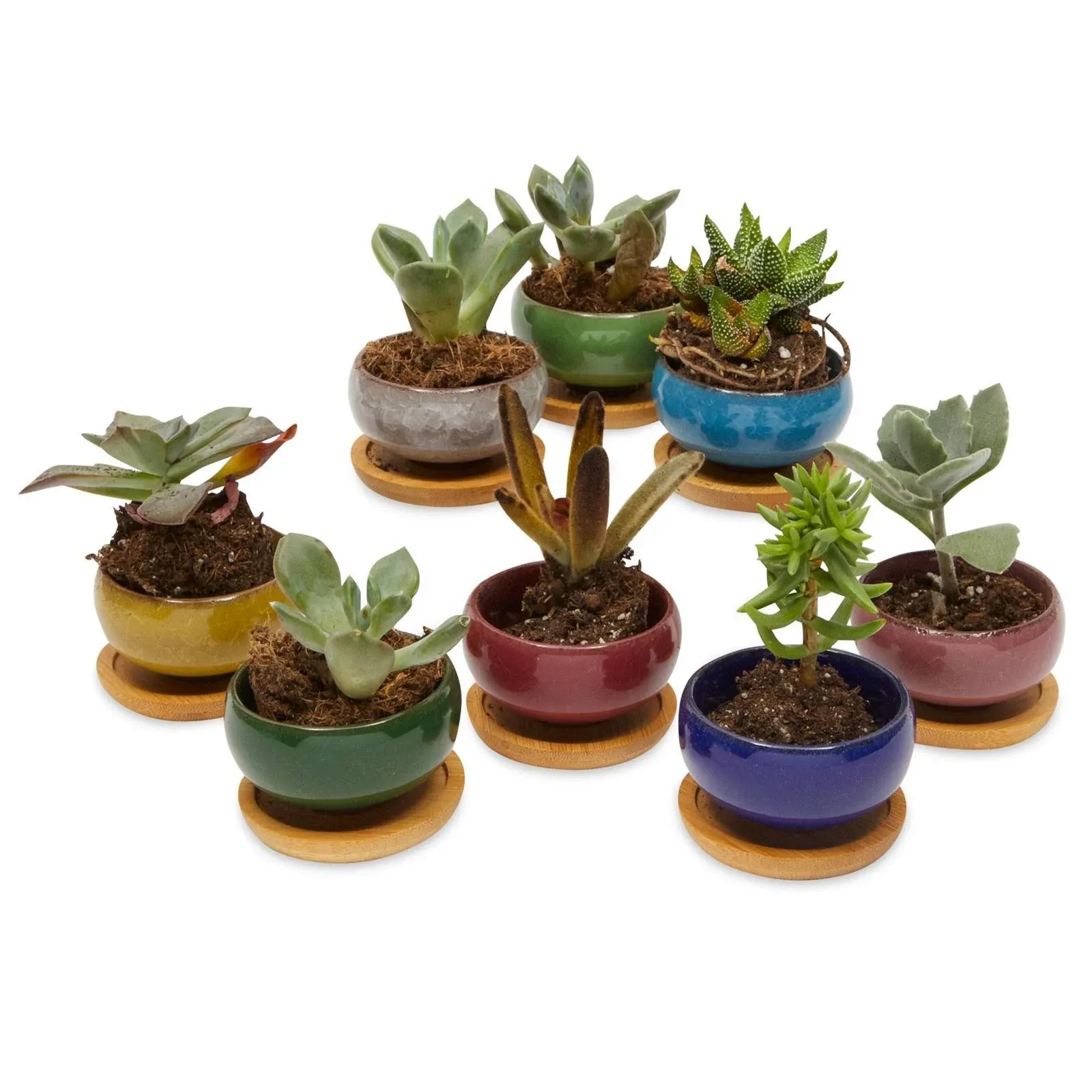 Okuna Outpost Set of 8 Miniature Ceramic Pots with Drainage Hole and Tray for Succulents (1.6 x 2.5 in)