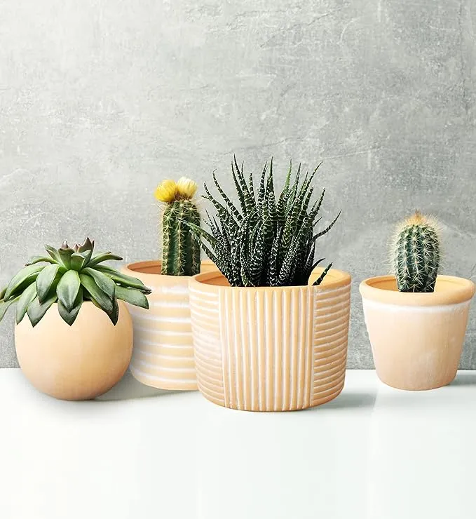 Terracotta Plant Pot Portofino Flower Cactus Succulent Planter Set Of 4 Pots