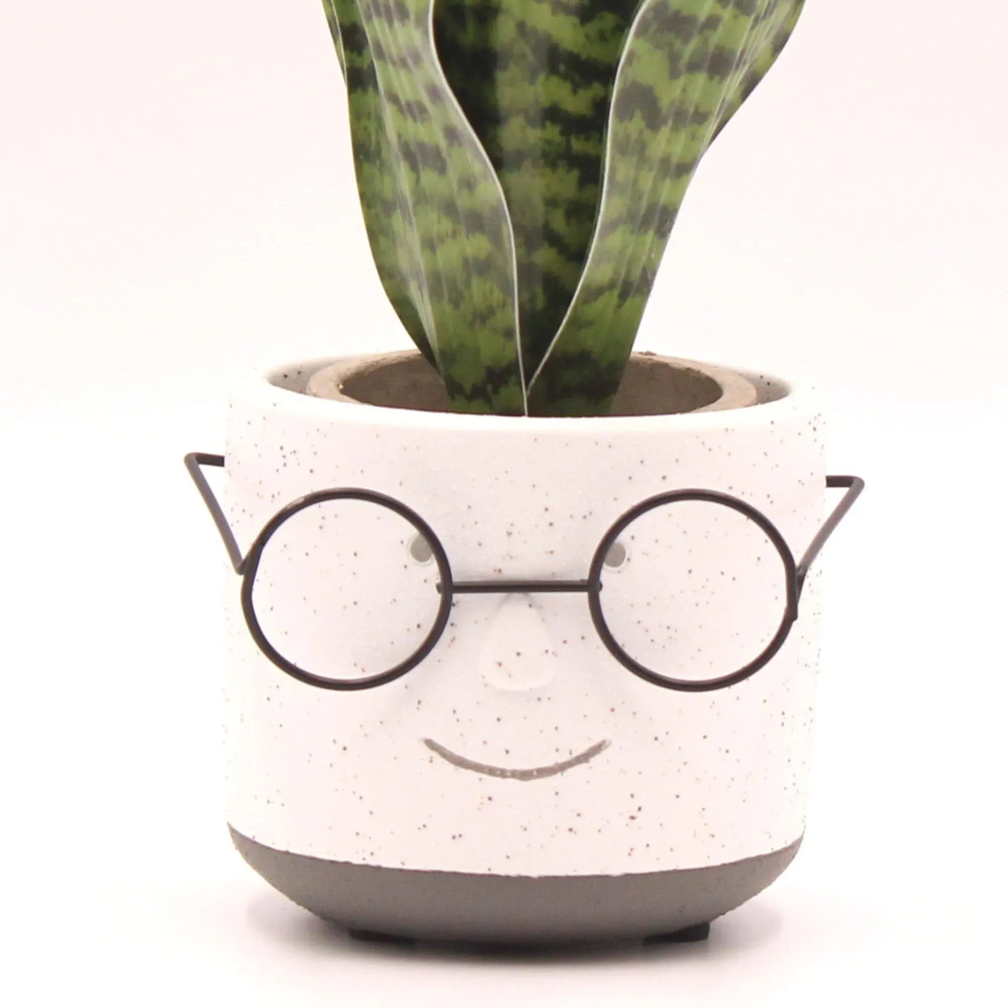 Edington Decor Face Planter Pot, Head Planter Pot, Succulent Planter with Drainage, Face Flower Pot, 4 inch Plant Pot, Unique Cute Pot with Glasses