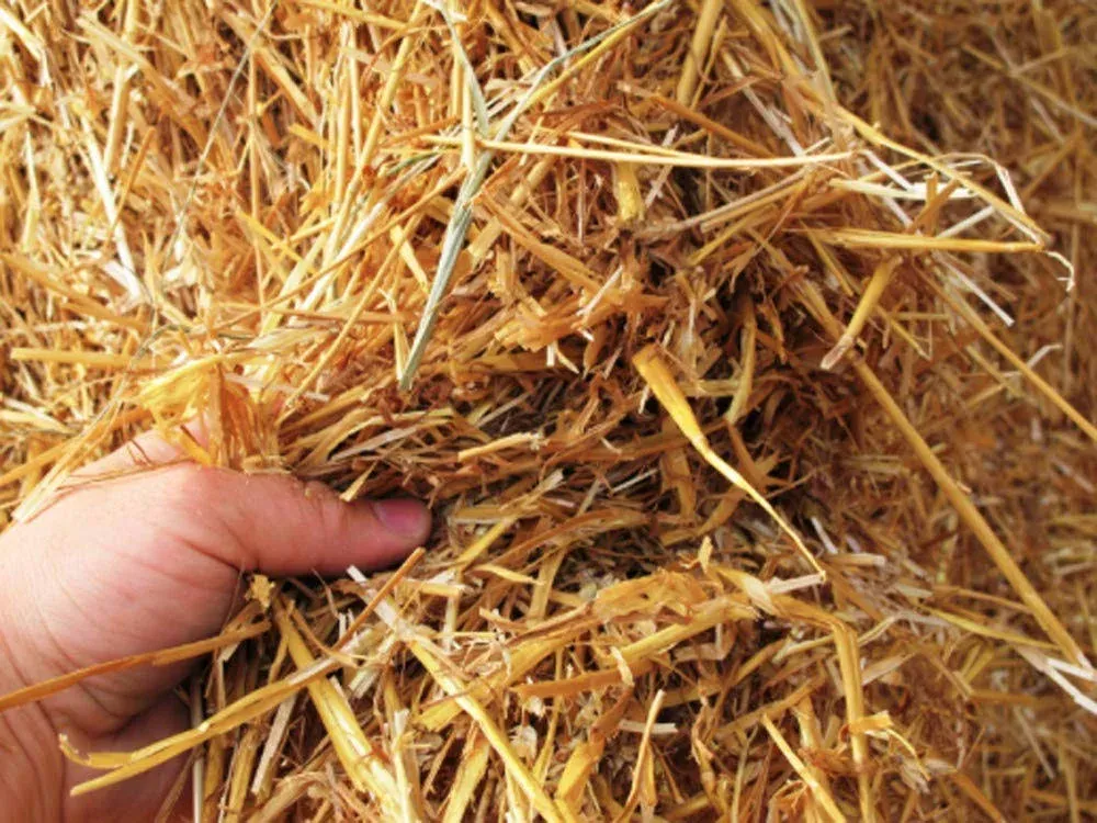 1 Cubic Foot of 100% Natural Wheat Straw