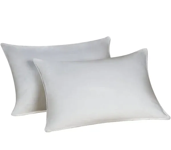 Hollander Sleep Products Eco-Smart ClearFresh King Size Pillow Set (2 King Pillows)