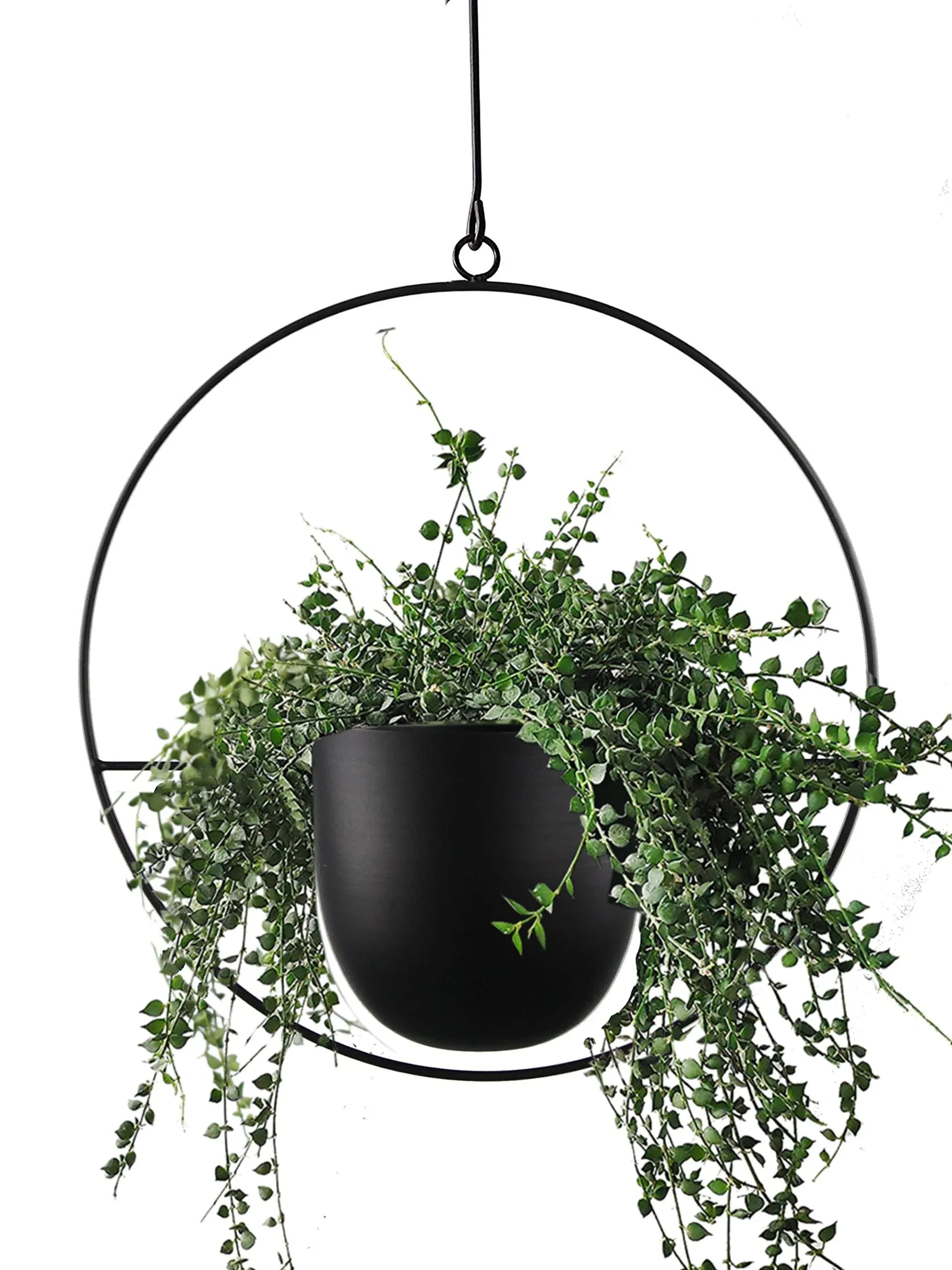 Hanging Planter for Indoor Plants Metal Mid Century Minimalist Wall and Ceiling 