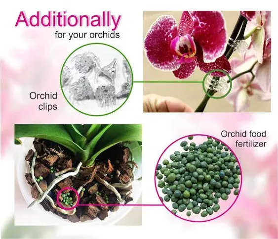 Orchid repotting kit, 6 inch Orchid Pot with Hiqh Quality Mix, Fertilizer and Clips