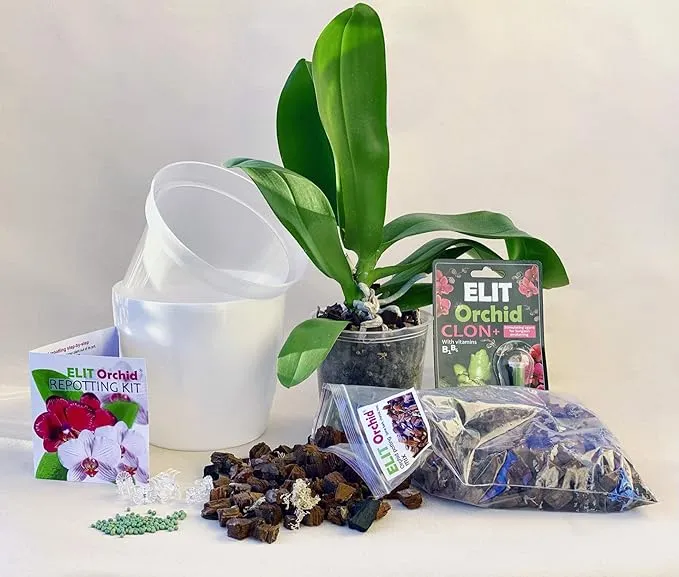 Just Add Ice Orchid Repotting Kit, Repot any 5" Orchid into 6" Pot