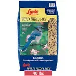 Lyric Wild Bird Mix