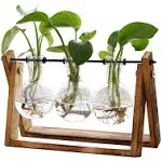 XXXFLOWER Plant Terrarium with Wooden Stand Hydroponics Decor Glass Vase Indoor 