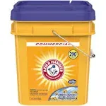 Arm & Hammer Powder Laundry Detergent