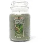 Yankee Candle Williamsburg Bayberry Large Jar Candle