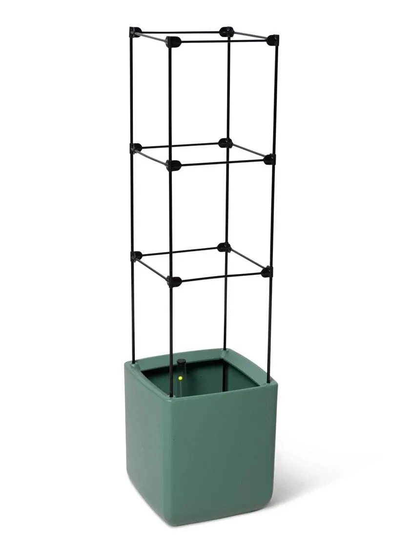 Oasis Self-Watering Tomato Planter With Trellis