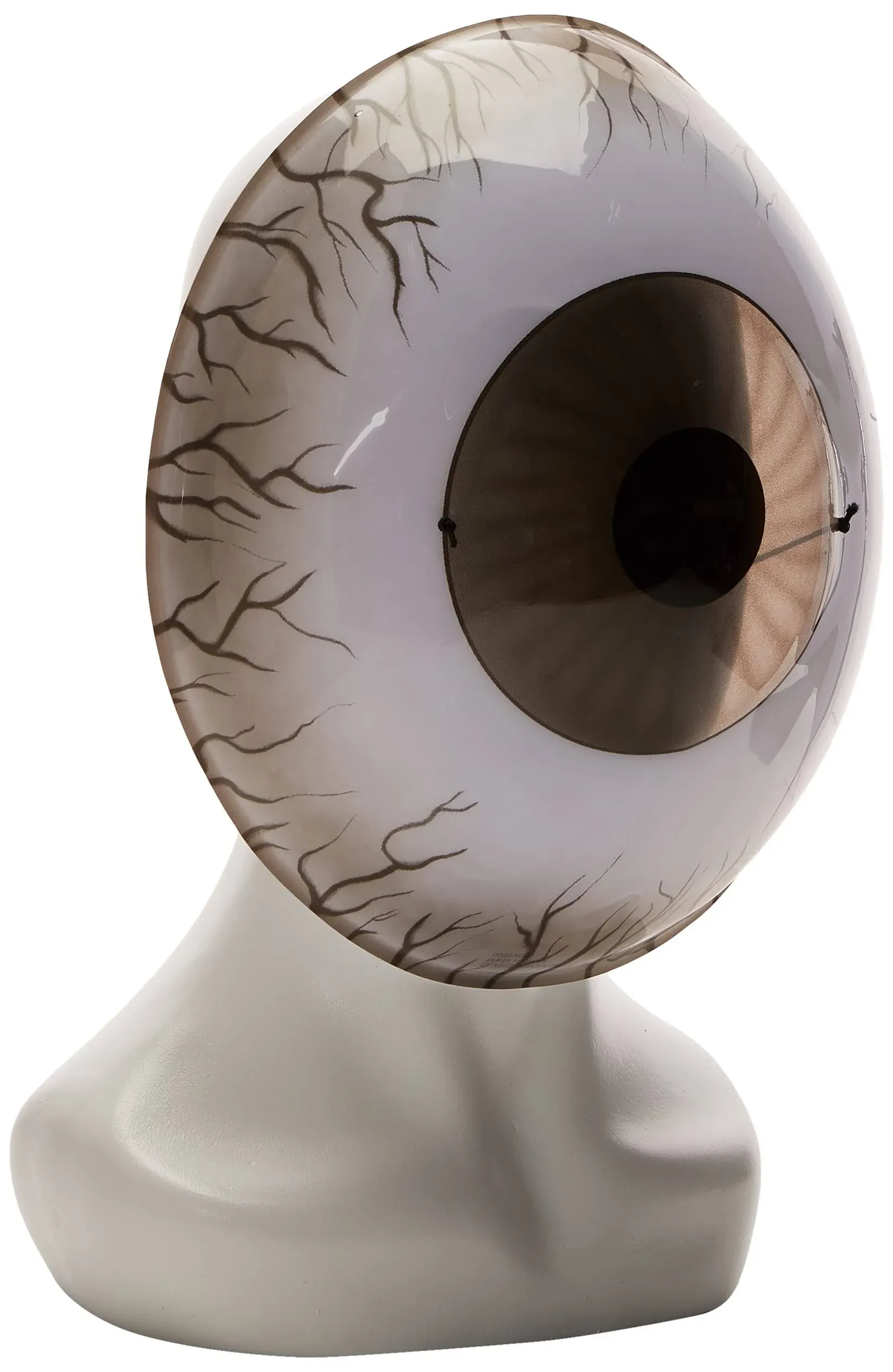 Giant Eyeball Mask