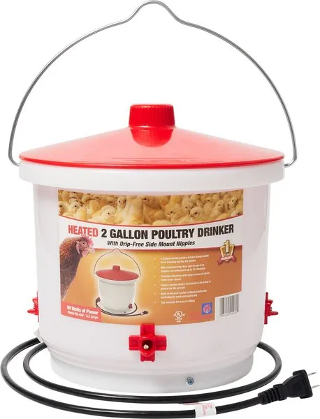 Farm Innovators HB-60P Heated 2 Gallon Poultry Drinker