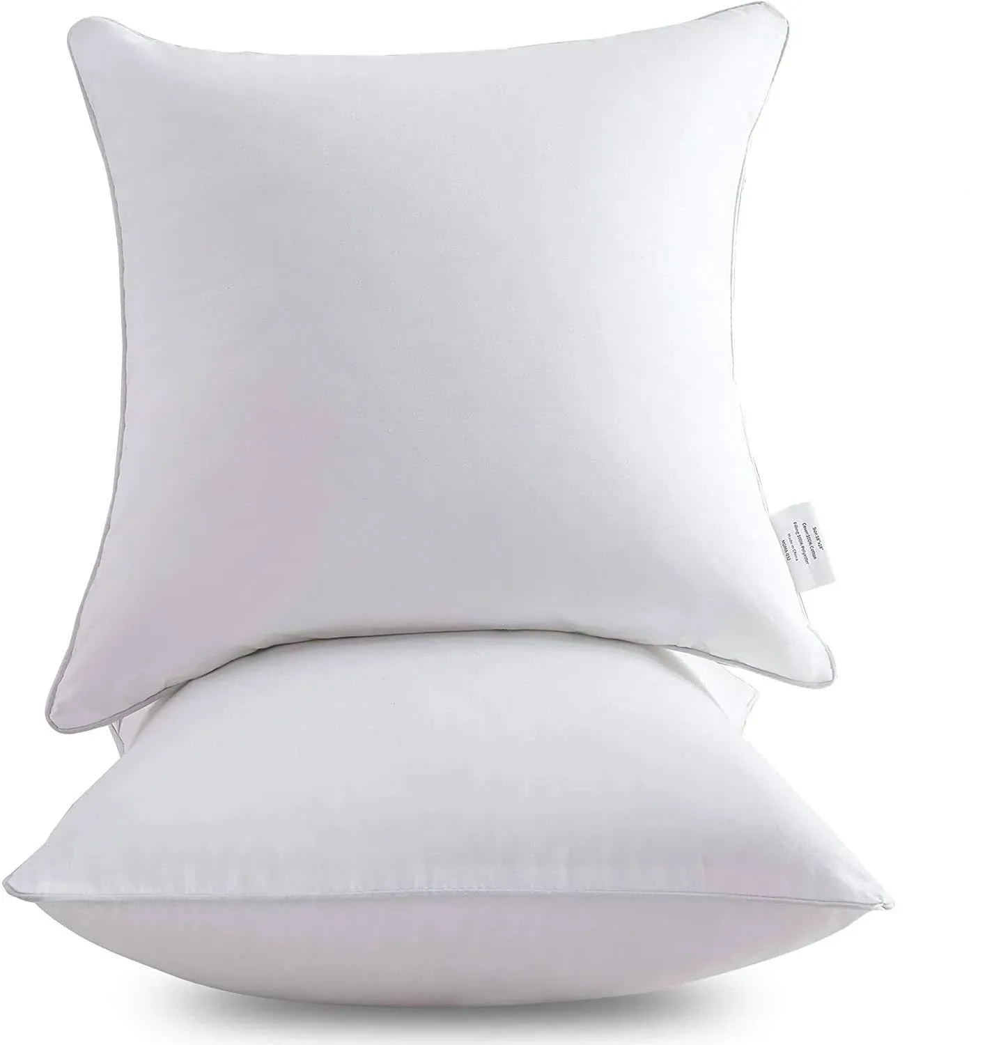 Leeden 20 X 20 Pillow Inserts (Set Of 2) - Throw Pillow, White Couch Pillow