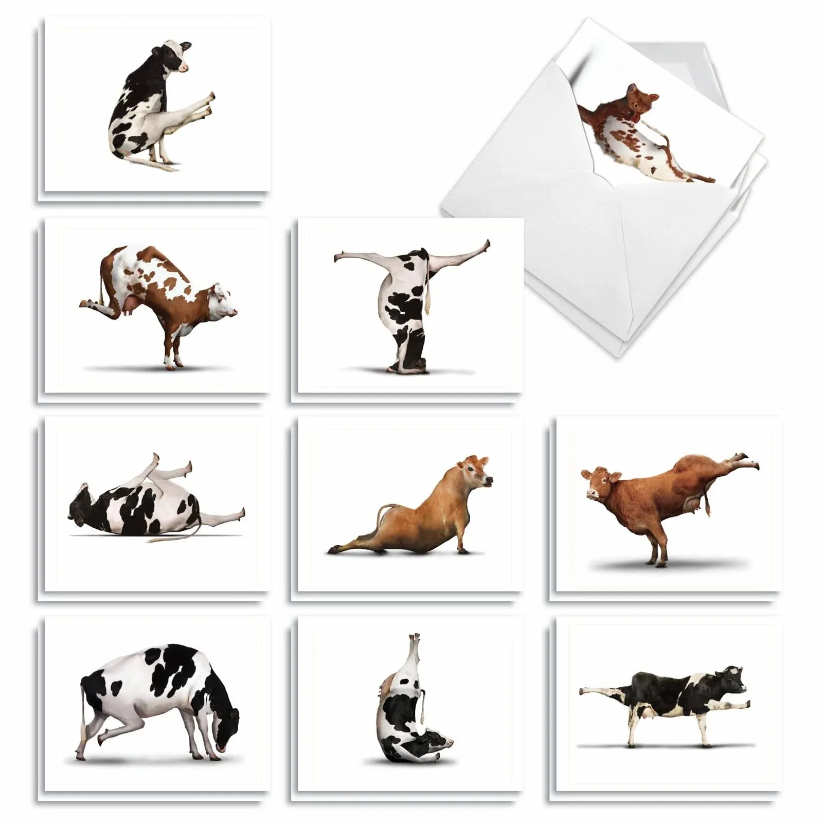 20 Blank Note Cards 4x5.12" w/ Envelopes (10 Designs,2 Each) Bovine Nirvana  | eBay