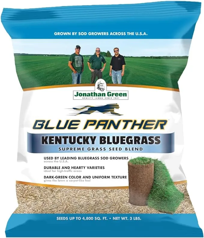 Blue Panther Kentucky Bluegrass Seed - 25lb bag