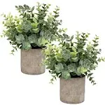 Mini Potted Plants Artificial Eucalyptus Boxwood Rosemary Faux Herbs Small House