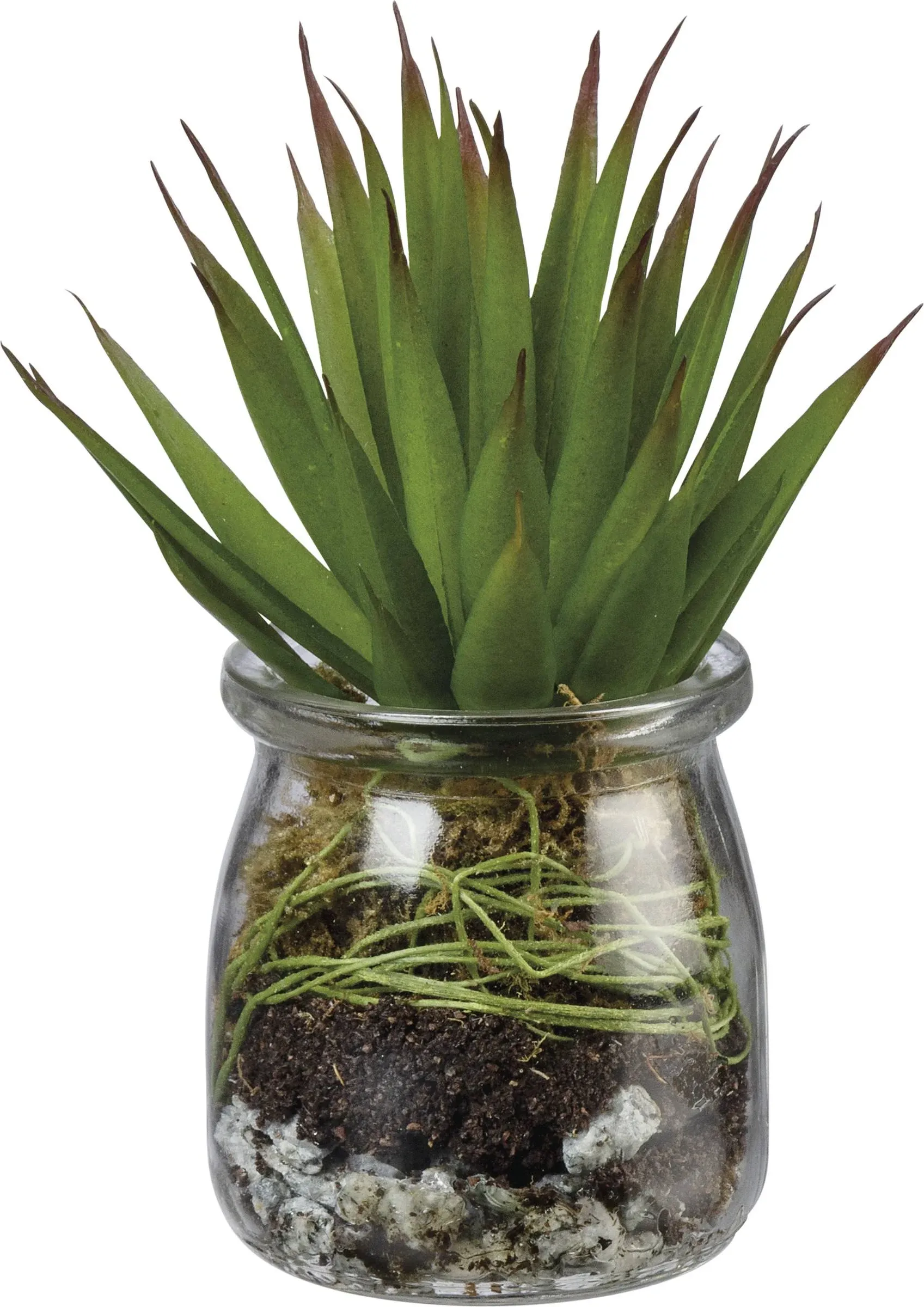 Aloe Succulent Faux Plant in Jar