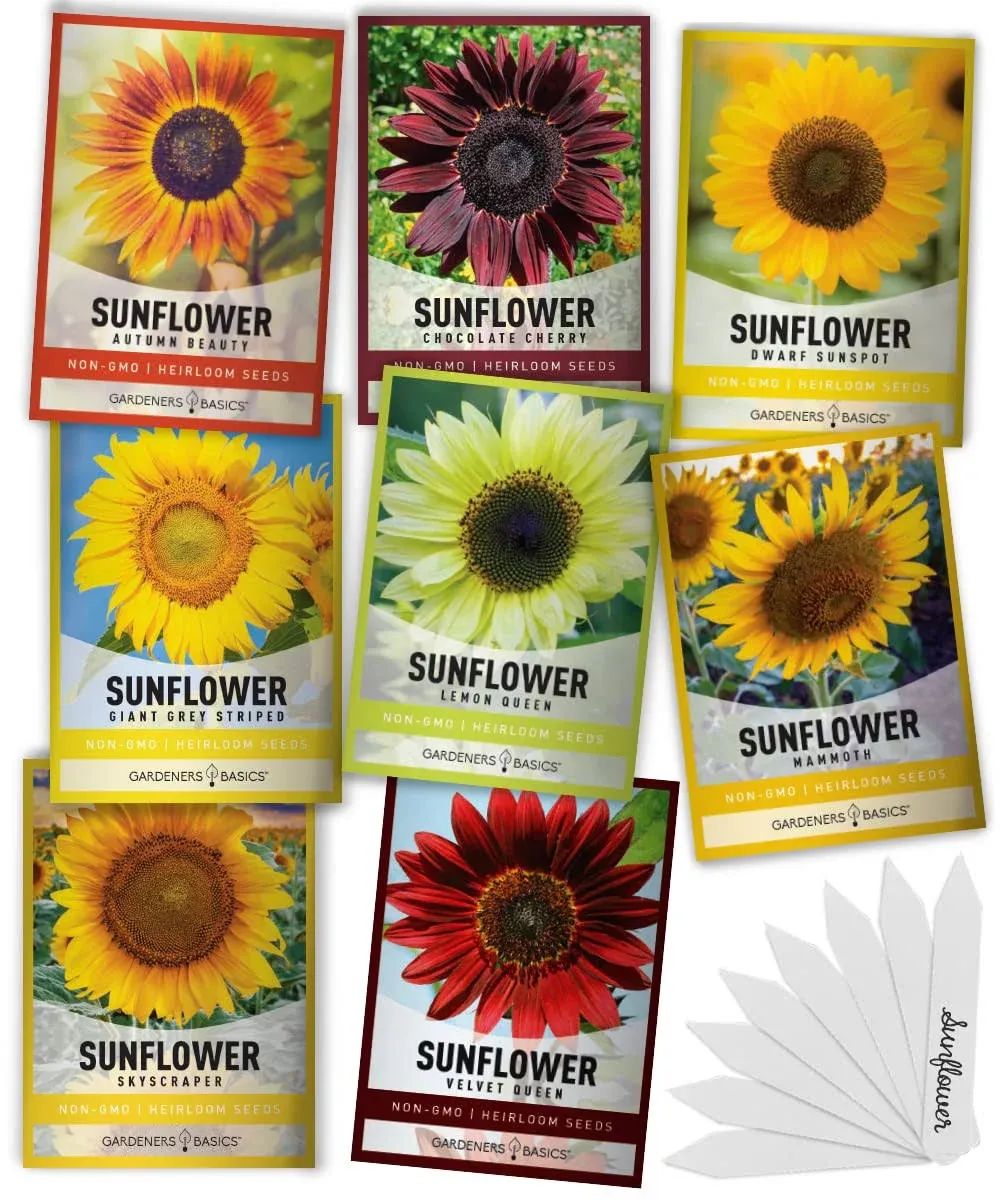 Sunflower Seeds For Planting | 8 Variety Pack