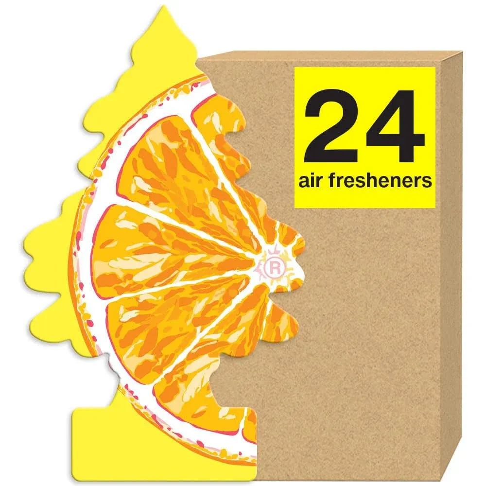 Little Trees Car Air Freshener 24-Pack (Rainshine)