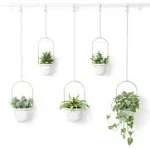 Umbra Triflora Hanging Planter Large