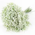 15 PCS Babys Breath Artificial Flowers Fake Babys Breath Flowers Artificial B...