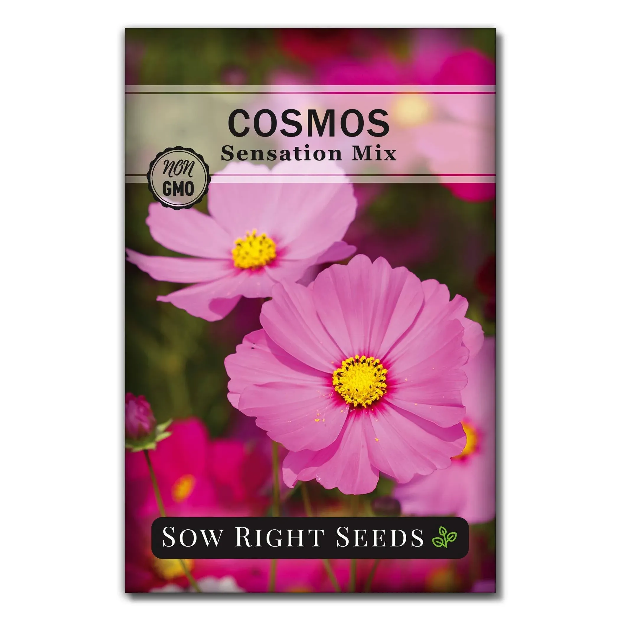 Sensation Mix Cosmos