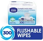 Nice 'N Clean Moist Flushable Wipes, Infused Aloe & Vitamin E, 60 Wipes (Pack of 5)