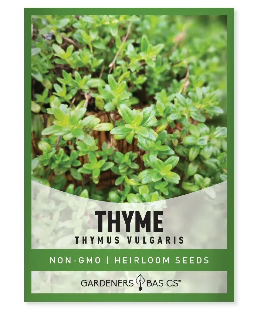 Winter Thyme Seeds