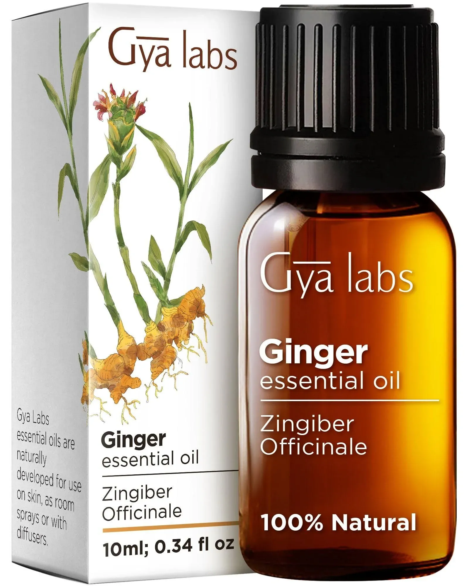 Gya Labs Ginger Essential Oil - 100% Pure Therapeutic Grade for Lymphatic ...