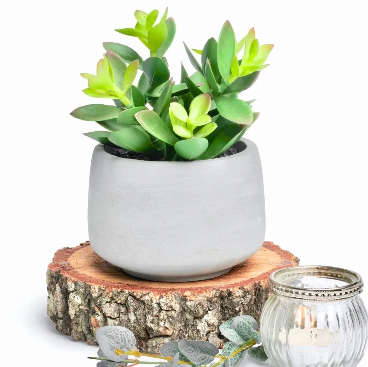 Kurrajong Farmhouse Artificial Plant | 7" Fake Plant | Artificial Succulent in Pot | Fake Succulent | Faux Plant Indoor | Succulent Plant Artificial | Faux Succulent in Pot for Desk Decor