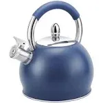 Whistle Tea Kettle - Stainless Steel Teapot w/ Silicone Handle - 3.2 QT/3 Liters