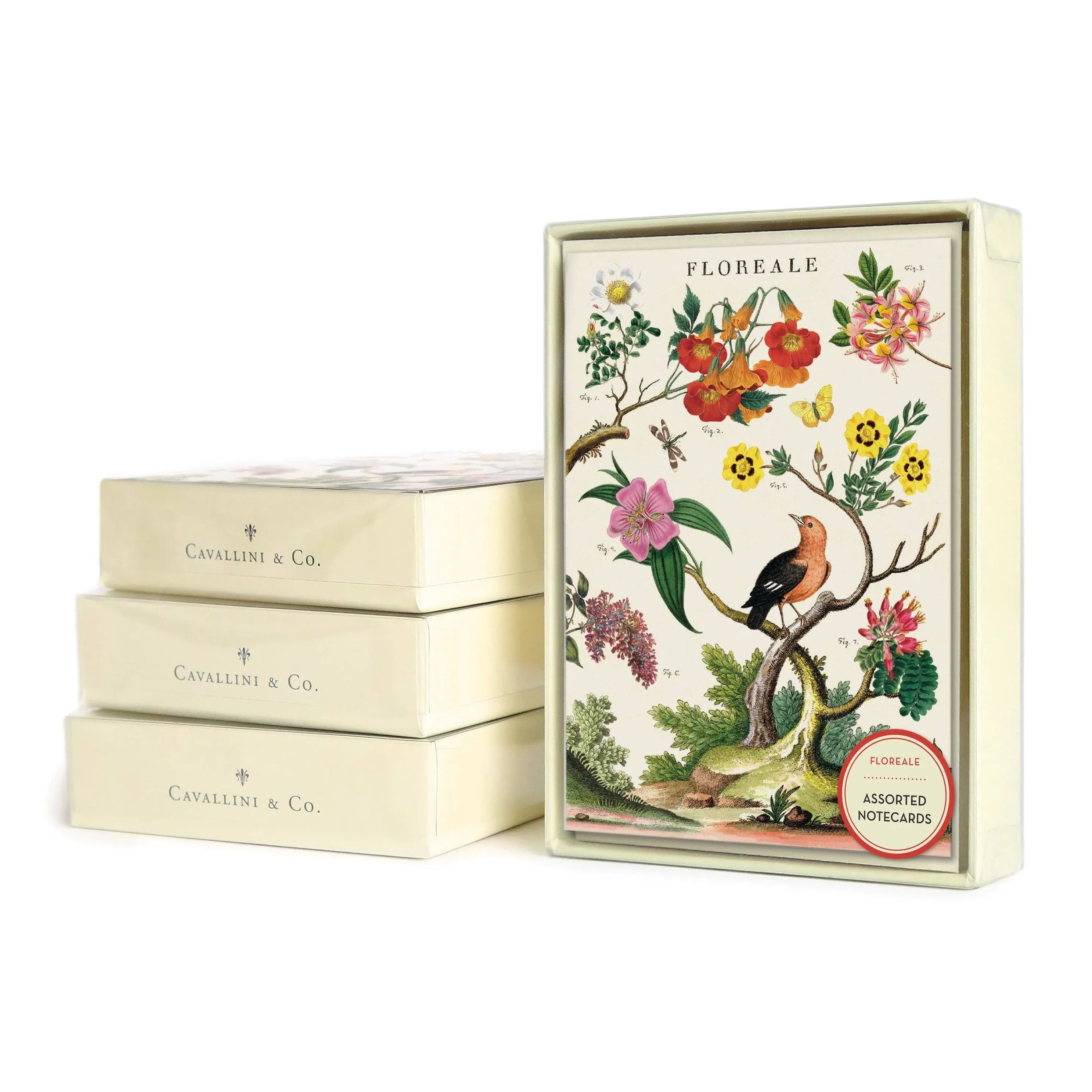 Cavallini & Co. Floral Boxed Note Cards